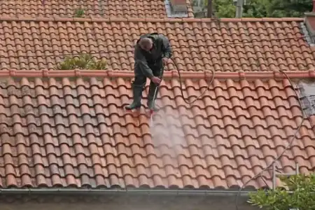 Nettoyage et démoussage de toiture à Pineuilh à Pineuilh